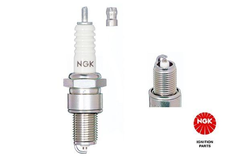 NGK Spark Plug