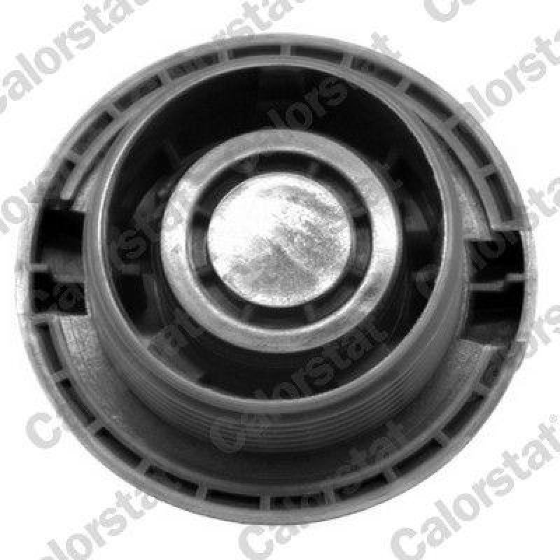 CALORSTAT by Vernet Expansion Tank, coolant