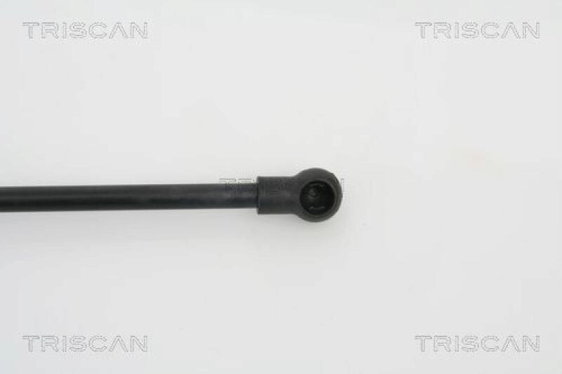 TRISCAN Gas Spring, boot-/cargo area