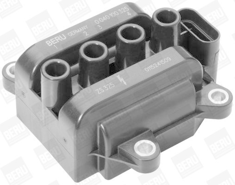 BorgWarner (BERU) Ignition Coil