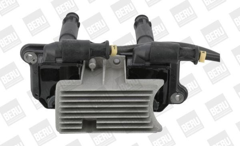 BorgWarner (BERU) Ignition Coil