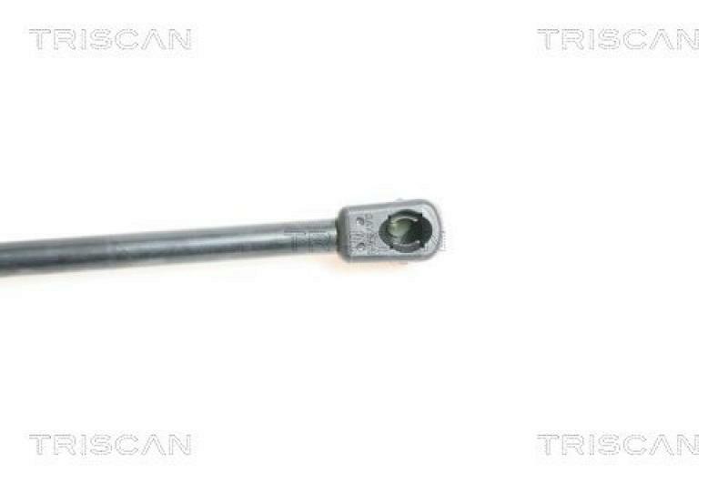 TRISCAN Gas Spring, boot-/cargo area