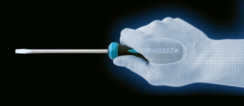 HAZET Screwdriver Set