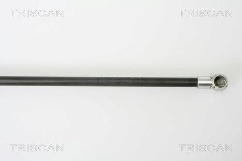 TRISCAN Gas Spring, boot-/cargo area