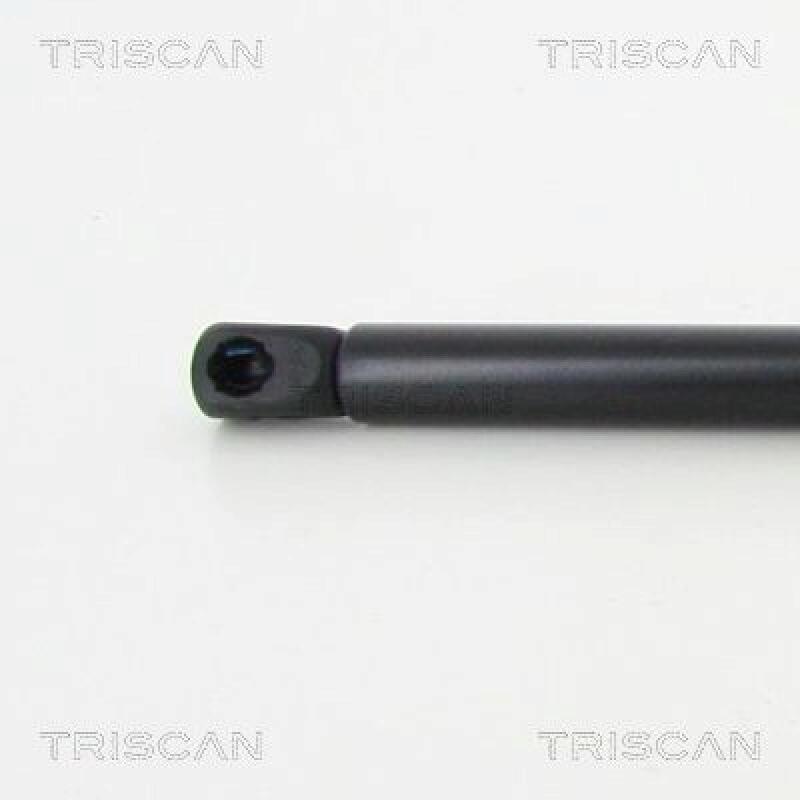 TRISCAN Gas Spring, boot-/cargo area