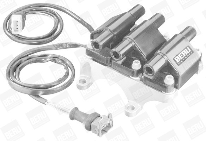 BorgWarner (BERU) Ignition Coil