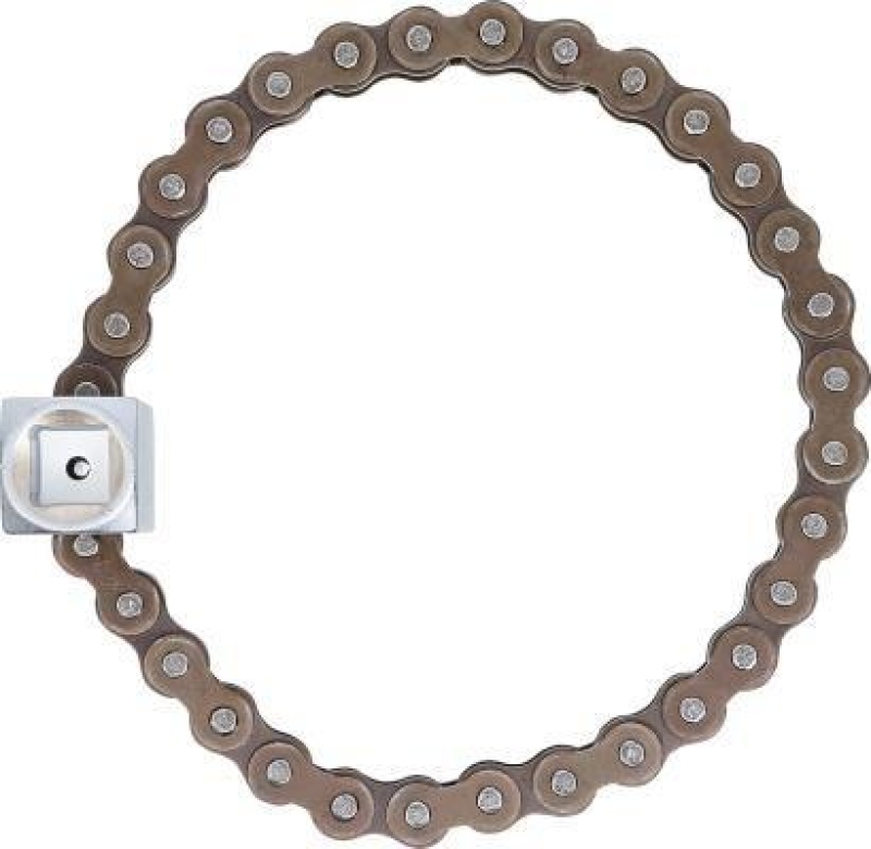 BGS Oil Filter Chain