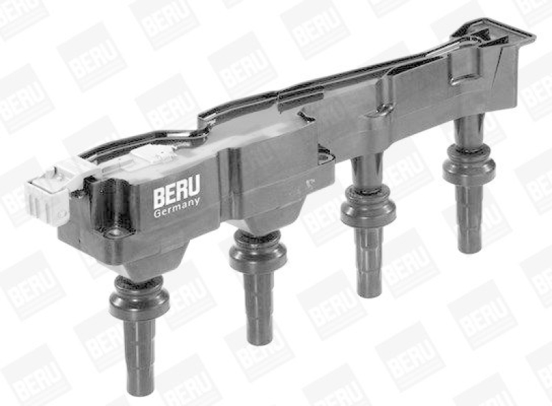 BorgWarner (BERU) Ignition Coil