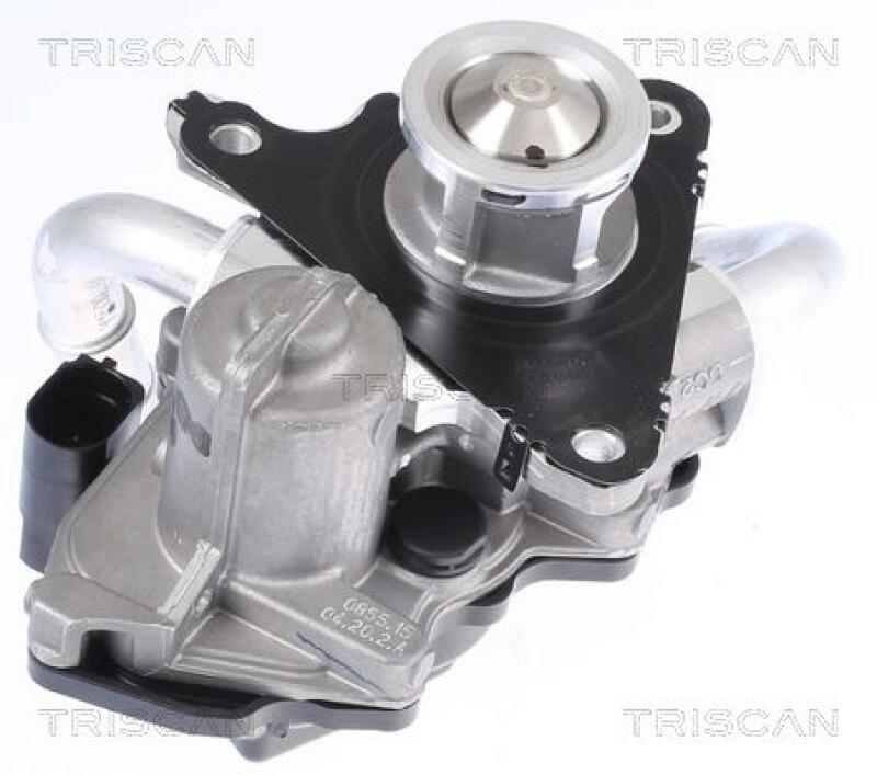 TRISCAN EGR Valve