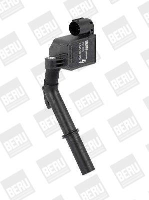 BorgWarner (BERU) Ignition Coil