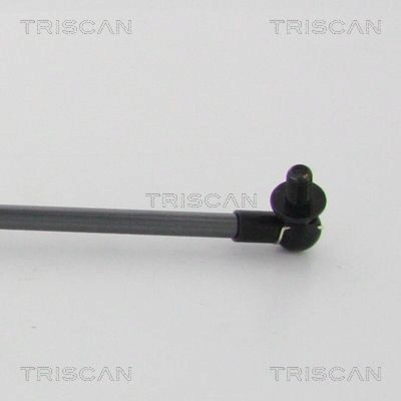 TRISCAN Gas Spring, boot-/cargo area