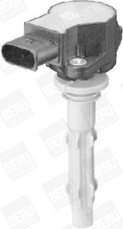 BorgWarner (BERU) Ignition Coil