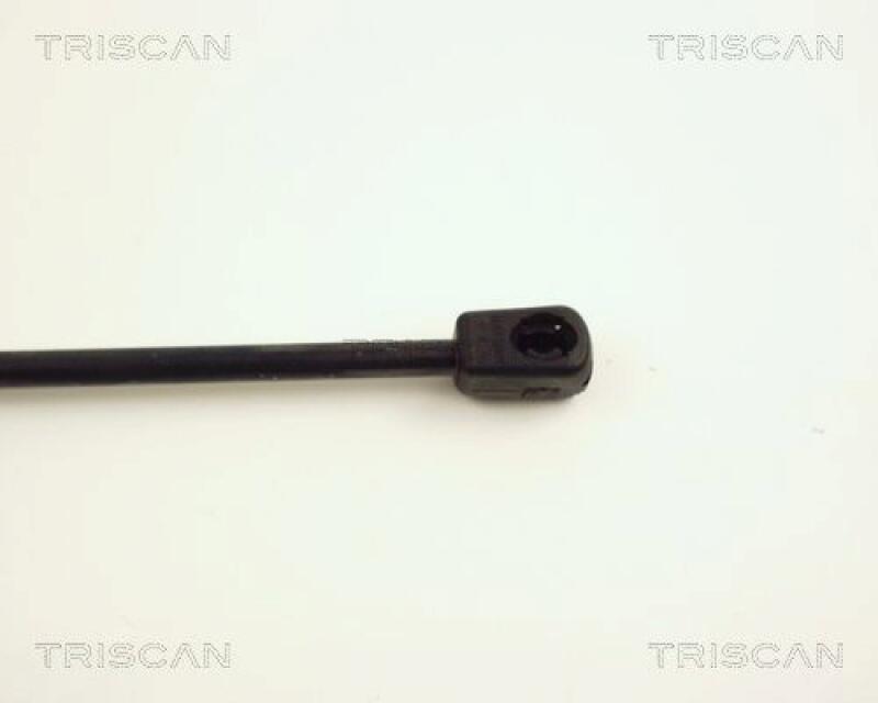 TRISCAN Gas Spring, boot-/cargo area