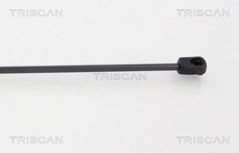 TRISCAN Gas Spring, boot-/cargo area