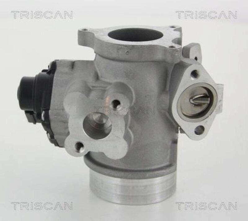 TRISCAN EGR Valve