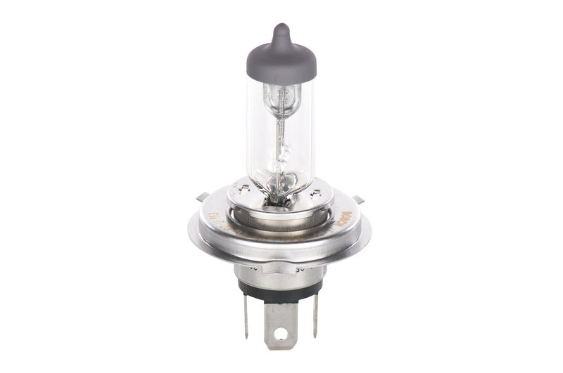 BOSCH Glühlampe, Fernscheinwerfer ECO Plus 100 WS