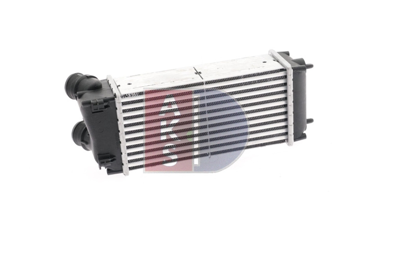 AKS DASIS Intercooler, charger