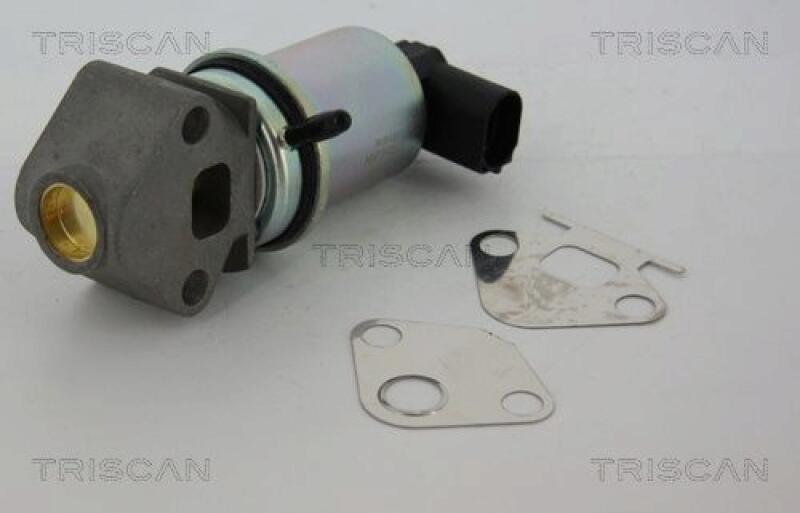 TRISCAN EGR Valve