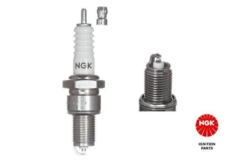 NGK Spark Plug