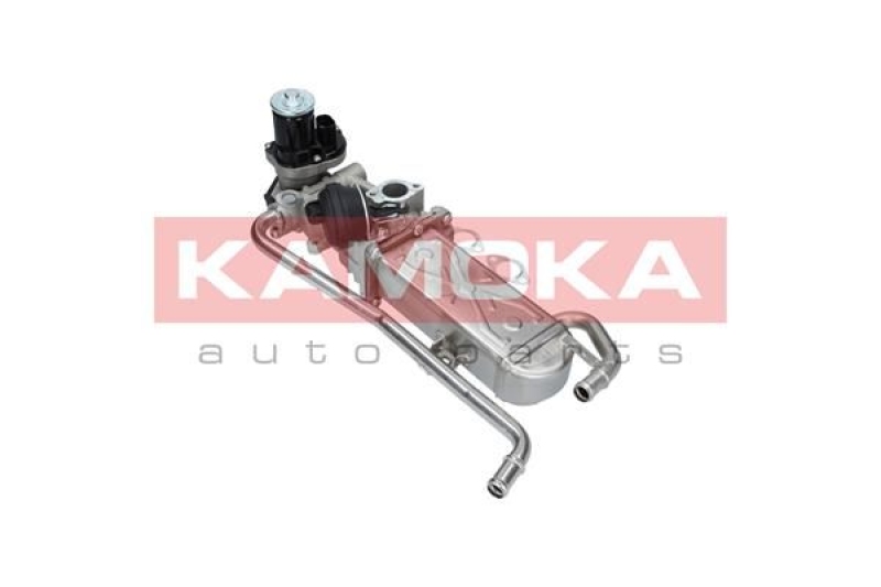 KAMOKA EGR Module