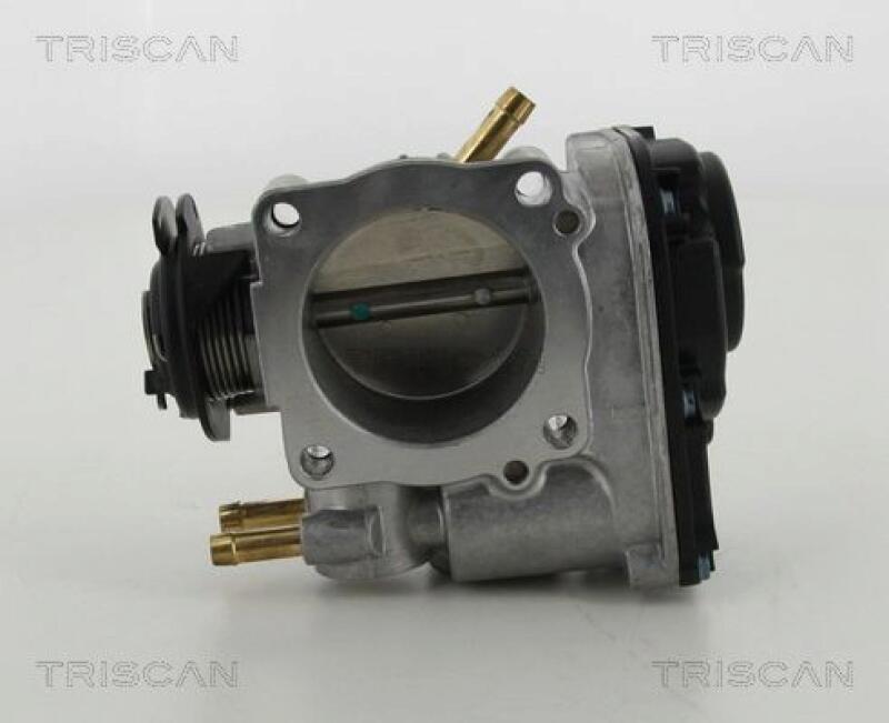 TRISCAN Throttle body