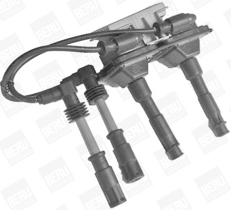 BorgWarner (BERU) Ignition Coil