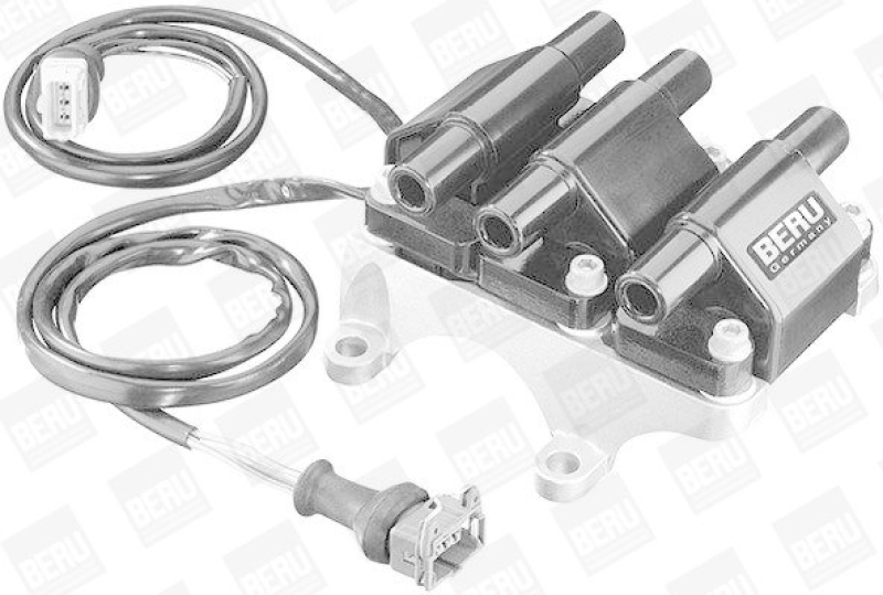 BorgWarner (BERU) Ignition Coil