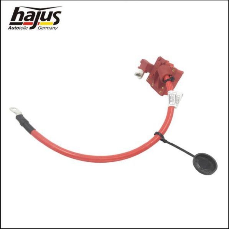 hajus Autoteile Batteriepolklemme