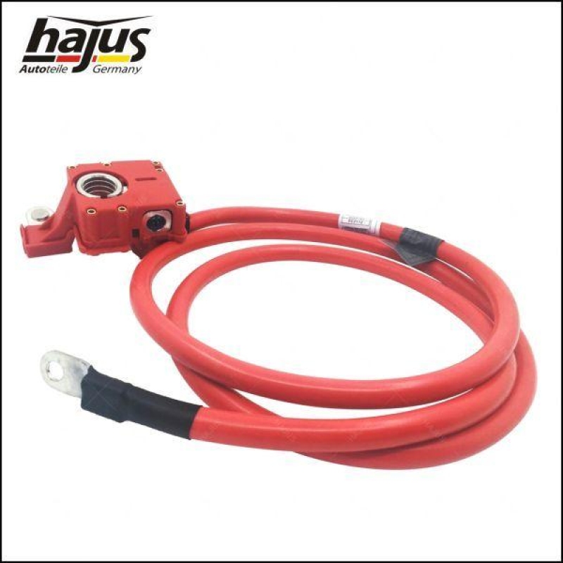 hajus Autoteile Batteriepolklemme